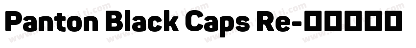 Panton Black Caps Re字体转换
